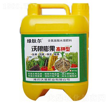 ������ָ����-���Ƿ�