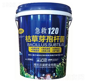 �ݲ�ѿ�ߗU��-���ǷʘI(y��)