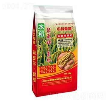 �۰��\������-�пƐ۵�