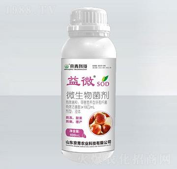 ��������΢�������-��΢-����Ƽ�