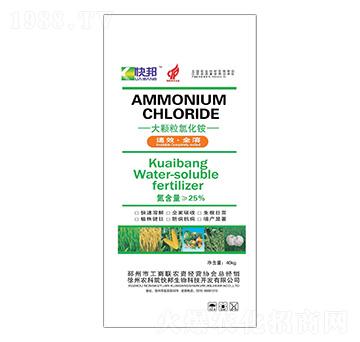 ���w���Ȼ��@-�������