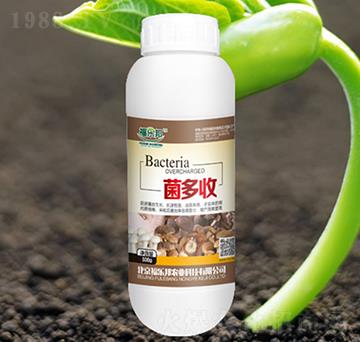 ������-����(l��)��