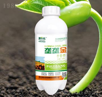 �ŉŽ�-����(l��)��