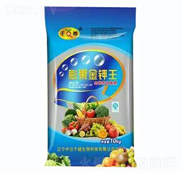 �����������{����-ǧ