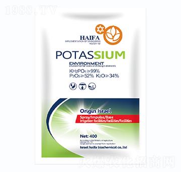 �������⛣�����-һ������