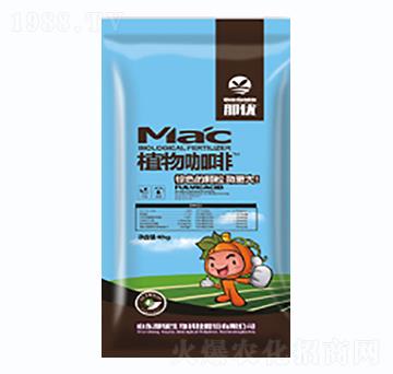 ֲ�￧�ȣ��{(l��n)��-һ������