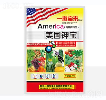 ����⛌�-һ������