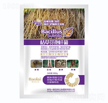 1000g�ݲ�ѿ�ߗU��-�ǃ�(y��u)-һ������