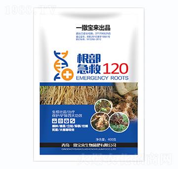 ��������120-һ������