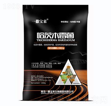 ����ľù��-һ������