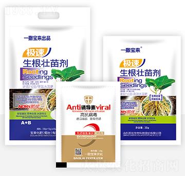 �������焩+�T����-һ������