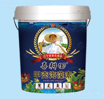 �ך�������-ϲ����