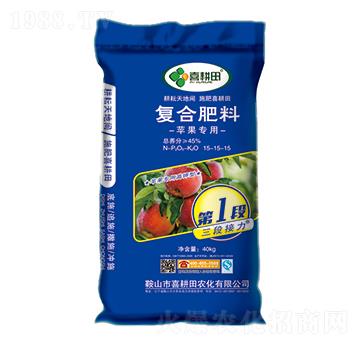 �O�����Ï�(f��)�Ϸ���15-