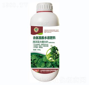 ����˴󹣴��~-��(zh��n)܇