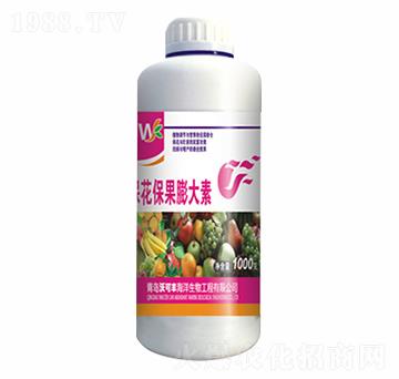 �������������-�ֿ��S