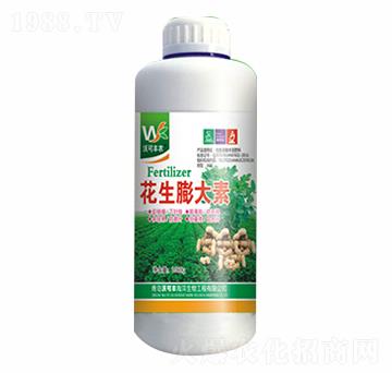 ���������-�ֿ��S