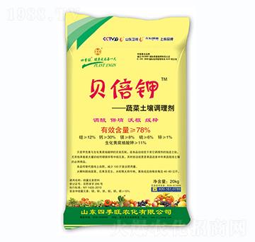 �߲������{�턩-ؐ���