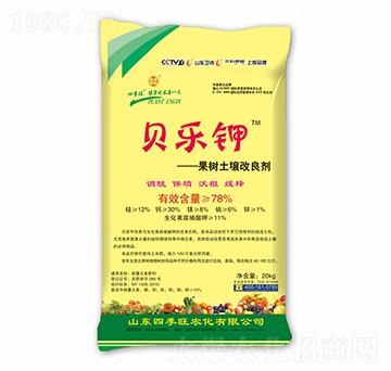 ���������{�턩-ؐ���