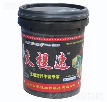 �����{�턩-������-��