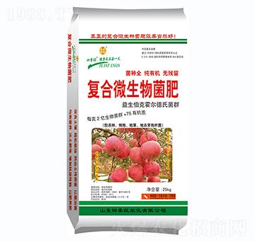 �ͺ�΢�������-�ļ���