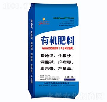 �ЙC����-�ļ���