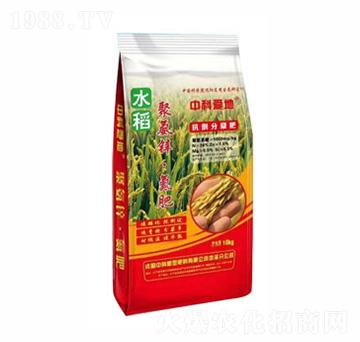 �пƐ۵ؾ۰��\������-�п�