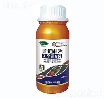 ��������-��������