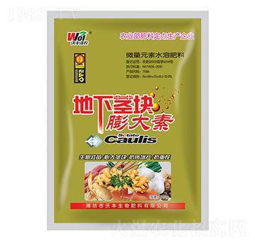 1000g�����o�K���