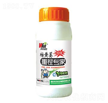 ���Sή�ز猣(zhu��n)��-���S��