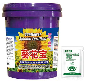 ������-��ķ��-����Ԫ��