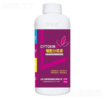 ����������-�Z����