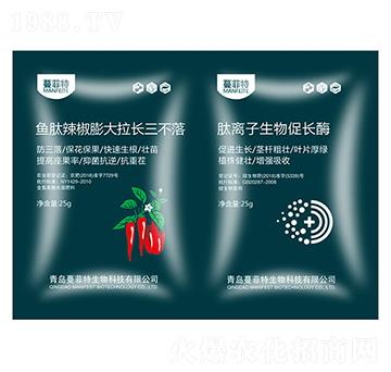 �~������������L������