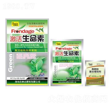 ����������-�����_(d��)