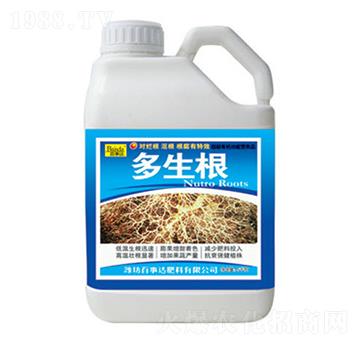 ������-�����_(d��)