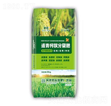 �����辷��Y��-���d-������