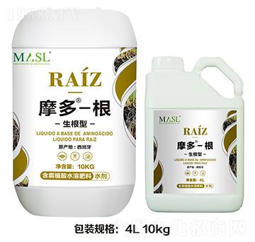 ������Ħ�ࡤ��-������