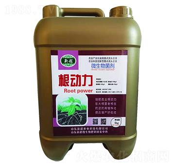 ΢�������-����(d��ng)��-�³��r(n��ng)�I(y��)