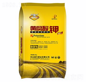 �S�����-��ţ�ʘI(y��)