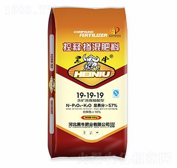 ��ጓ������19-19-19-��ţ�ʘI(y��)