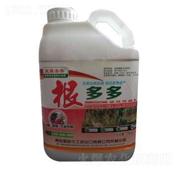 �����-�ʼڵ۹�-����