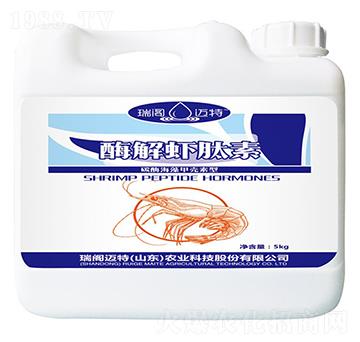 ø���r����-���w�~��