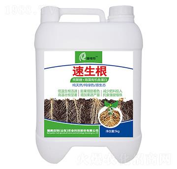 ������-��ɵ�-���w�~��