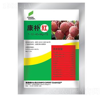 �~���-����t-���A����