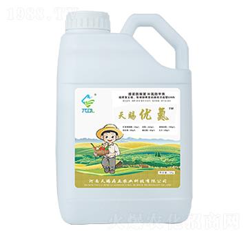 ���n��(y��u)��-���n����