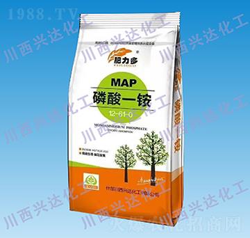 ����һ�@12-61-0