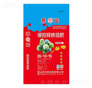 ����ѿ�;���ጓ������