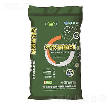 ����ø����-�s�A����