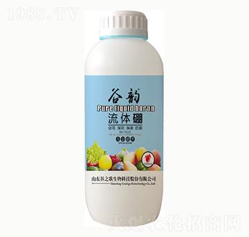 ���w��-���-��֮��