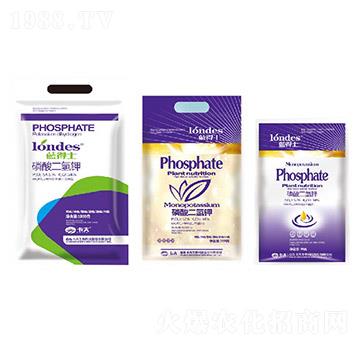 �{(l��n)��ʿ��������-����