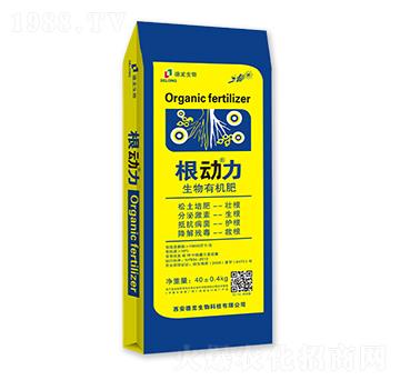 �����ЙC(j��)��-����(d��ng)��-��������